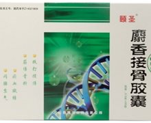 颐圣 麝香接骨胶囊
