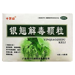 十万山 银翘解毒颗粒